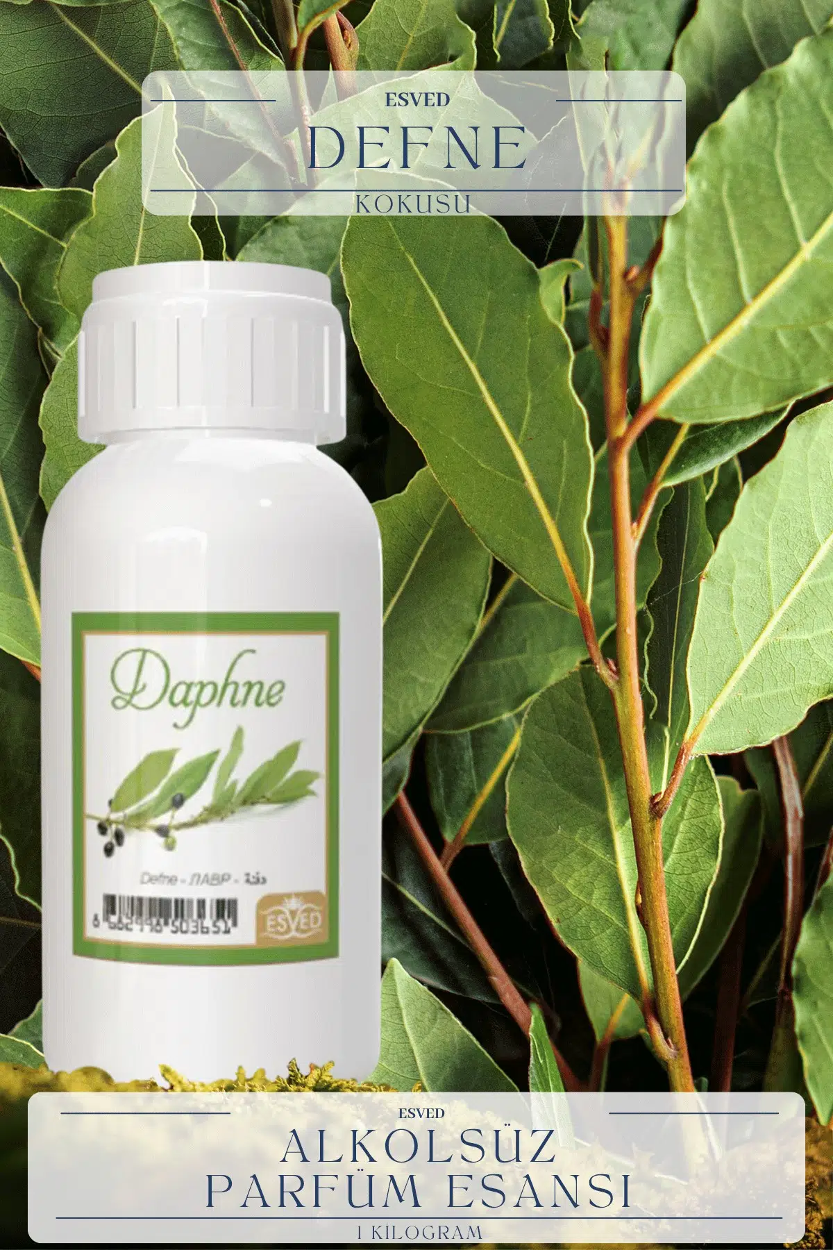 Defne Kokusu Toptan Parfüm Esansı 1 Kilogram