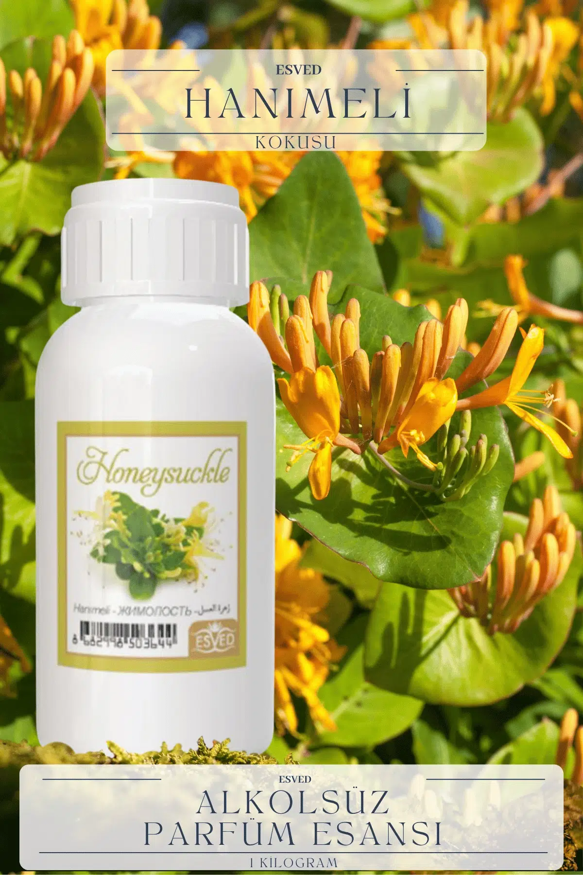Hanımeli Kokusu Kokusu Toptan Parfüm Esansı 1 Kilogram