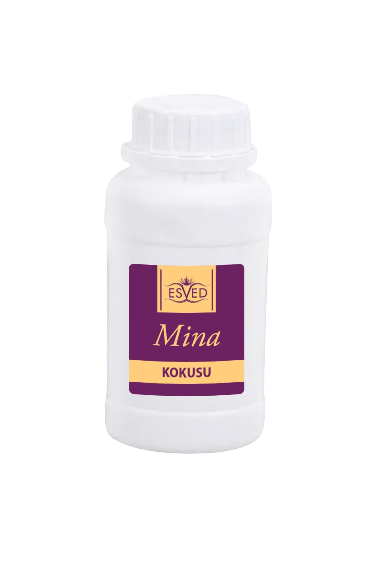 Mina Kokusu Çubuklu Koku Bambu Kokusu Yedek Dolum Şişesi 100Ml