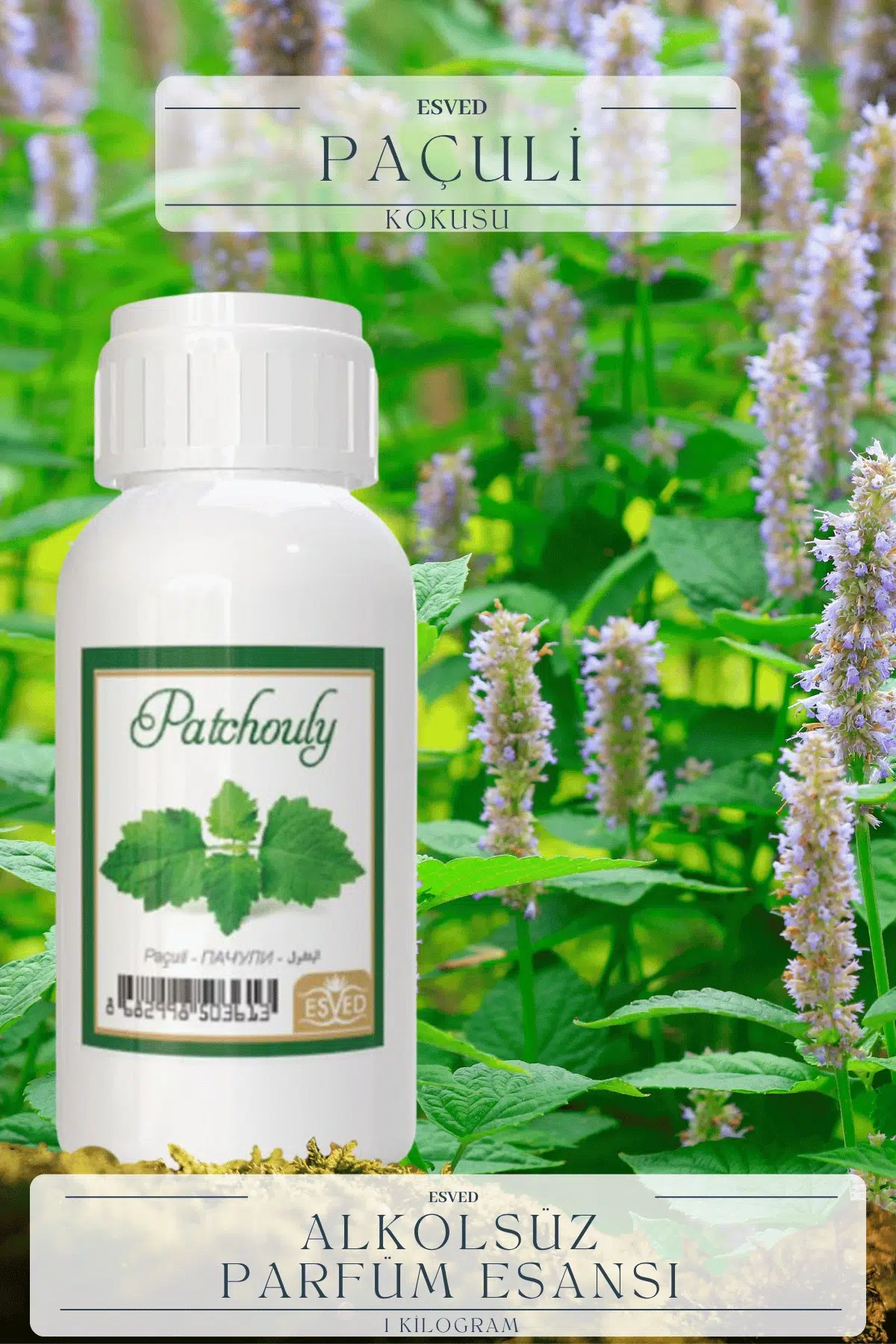 Paçuli Kokusu Toptan Parfüm Esansı 1 Kilogram