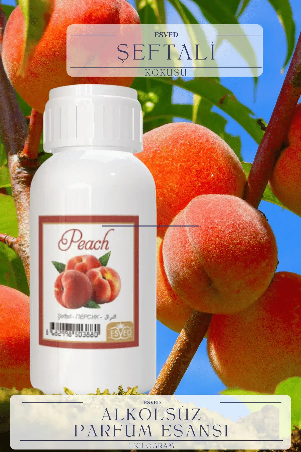 Şeftali Kokusu Toptan Parfüm Esansı 1 Kilogram
