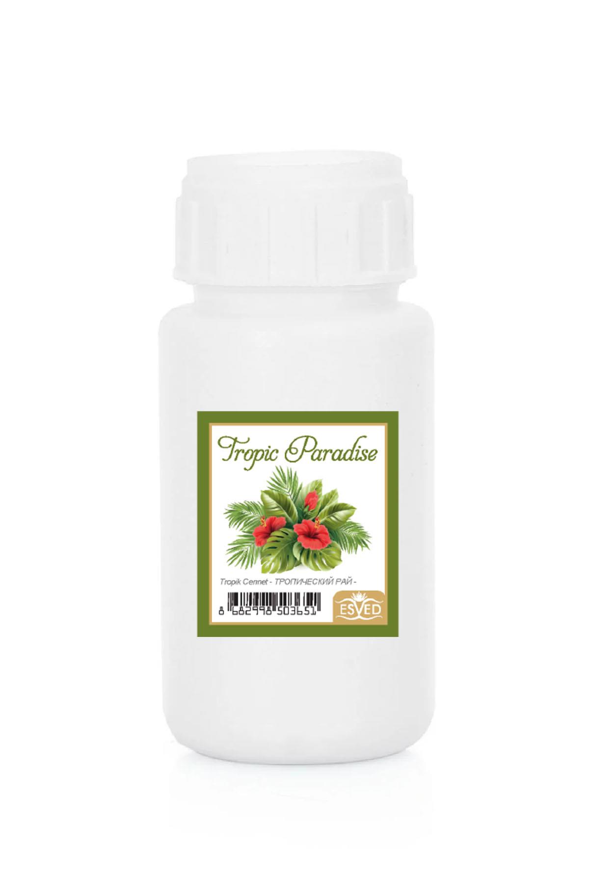 Tropik Cennet Kokusu Çubuklu Koku Bambu Kokusu Yedek Dolum Şişesi 100Ml